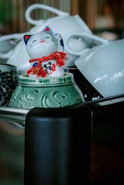  Thế giới giải trí Việt 